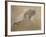 Giuseppe Verdi on His Deathbed-Adolfo Hohenstein-Framed Giclee Print