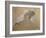 Giuseppe Verdi on His Deathbed-Adolfo Hohenstein-Framed Giclee Print