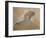 Giuseppe Verdi on His Deathbed-Adolfo Hohenstein-Framed Giclee Print