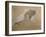 Giuseppe Verdi on His Deathbed-Adolfo Hohenstein-Framed Giclee Print