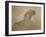 Giuseppe Verdi on His Deathbed-Adolfo Hohenstein-Framed Giclee Print