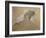 Giuseppe Verdi on His Deathbed-Adolfo Hohenstein-Framed Giclee Print