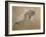 Giuseppe Verdi on His Deathbed-Adolfo Hohenstein-Framed Giclee Print