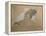 Giuseppe Verdi on His Deathbed-Adolfo Hohenstein-Framed Premier Image Canvas