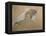 Giuseppe Verdi on His Deathbed-Adolfo Hohenstein-Framed Premier Image Canvas