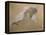 Giuseppe Verdi on His Deathbed-Adolfo Hohenstein-Framed Premier Image Canvas