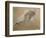 Giuseppe Verdi on His Deathbed-Adolfo Hohenstein-Framed Giclee Print