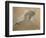 Giuseppe Verdi on His Deathbed-Adolfo Hohenstein-Framed Giclee Print