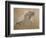 Giuseppe Verdi on His Deathbed-Adolfo Hohenstein-Framed Giclee Print