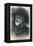 Giuseppe Verdi-null-Framed Premier Image Canvas