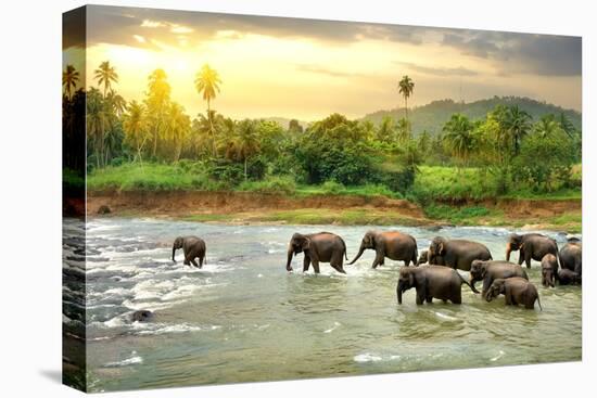 Stretched Canvas Print, , large