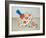 Give it a Whirl-Clayton Rabo-Framed Giclee Print