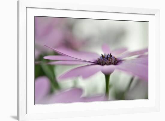 Give Me Some Space-Heidi Westum-Framed Photographic Print