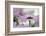 Give Me Some Space-Heidi Westum-Framed Photographic Print