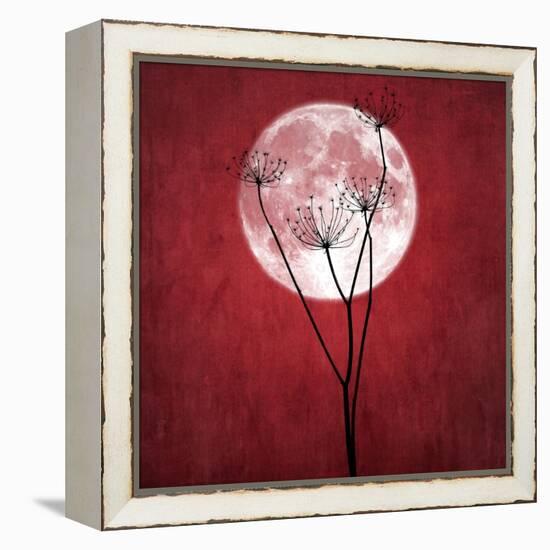 Give Me the Moon-Philippe Sainte-Laudy-Framed Premier Image Canvas