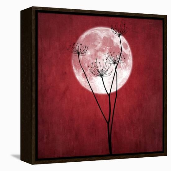 Give Me the Moon-Philippe Sainte-Laudy-Framed Premier Image Canvas