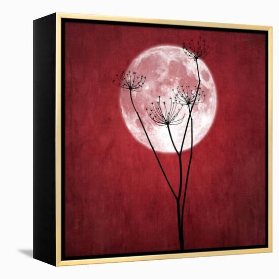 Give Me the Moon-Philippe Sainte-Laudy-Framed Premier Image Canvas