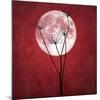 Give Me the Moon-Philippe Sainte-Laudy-Mounted Premium Photographic Print