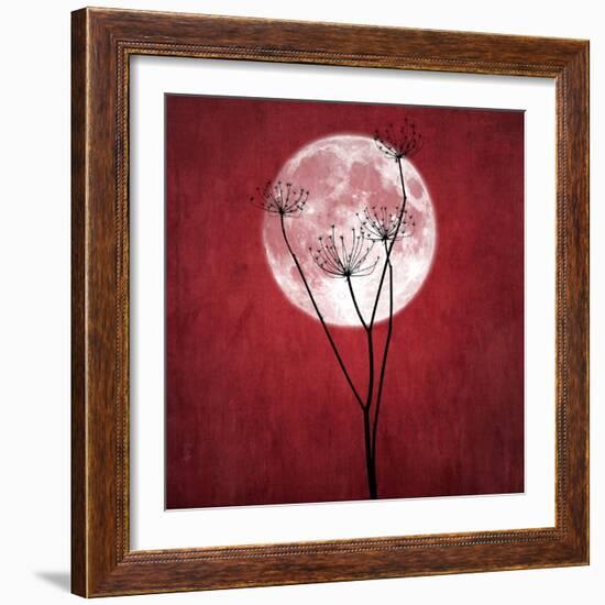 Give Me the Moon-Philippe Sainte-Laudy-Framed Photographic Print