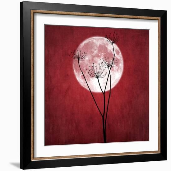 Give Me the Moon-Philippe Sainte-Laudy-Framed Photographic Print