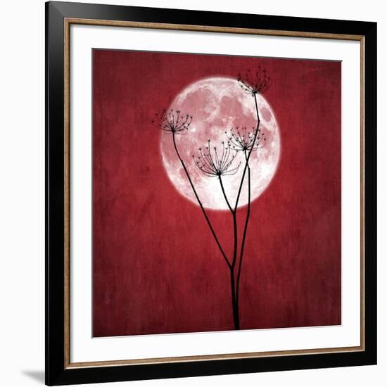 Give Me the Moon-Philippe Sainte-Laudy-Framed Photographic Print