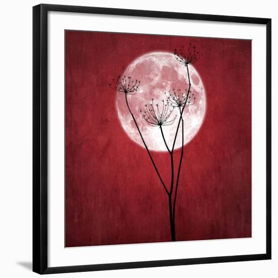 Give Me the Moon-Philippe Sainte-Laudy-Framed Giclee Print