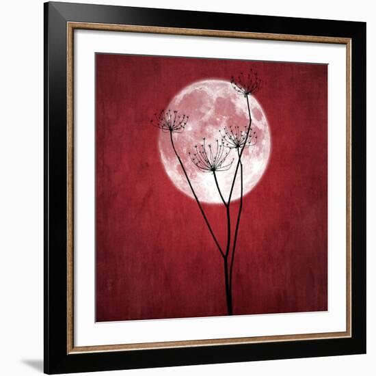 Give Me the Moon-Philippe Sainte-Laudy-Framed Giclee Print