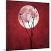 Give Me the Moon-Philippe Sainte-Laudy-Mounted Giclee Print