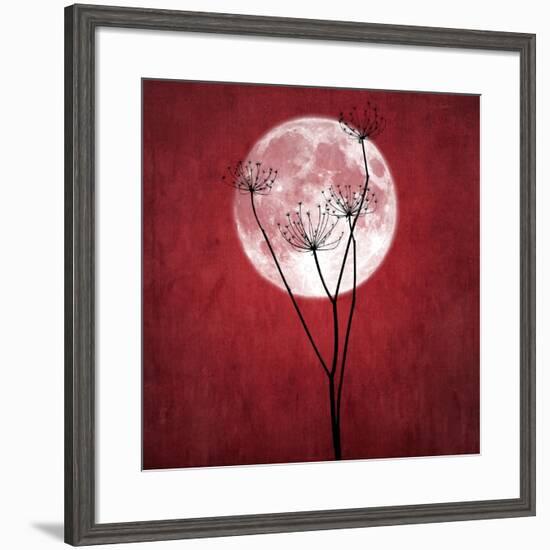 Give Me the Moon-Philippe Sainte-Laudy-Framed Giclee Print