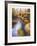 Giverny, bord de rivière-Rolf Rafflewski-Framed Limited Edition