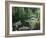 Giverny Pond-Sarah Butcher-Framed Art Print