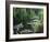 Giverny Pond-Sarah Butcher-Framed Art Print