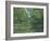 Giverny Reflections-Richard Harpum-Framed Art Print