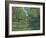 Giverny Reflections-Richard Harpum-Framed Art Print