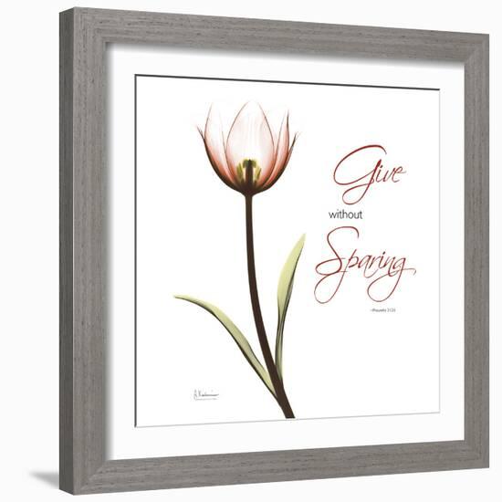 Giving Tulip C69-Albert Koetsier-Framed Photographic Print