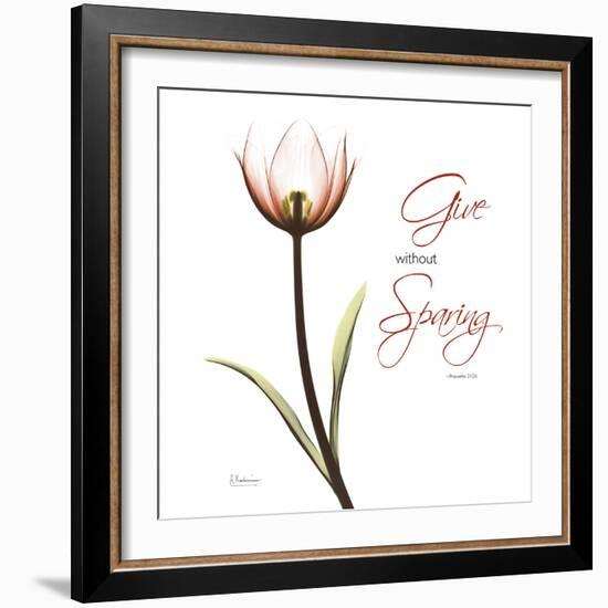 Giving Tulip C69-Albert Koetsier-Framed Photographic Print