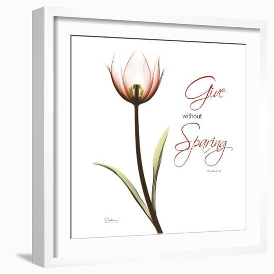 Giving Tulip C69-Albert Koetsier-Framed Photographic Print