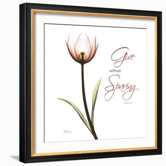 Giving Tulip C69-Albert Koetsier-Framed Photographic Print