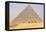 Giza, Cairo, Egypt. Men on camels at the Great Pyramid complex.-Emily Wilson-Framed Premier Image Canvas