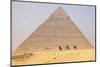 Giza, Cairo, Egypt. Men on camels at the Great Pyramid complex.-Emily Wilson-Mounted Photographic Print