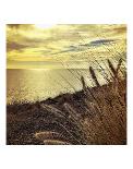 Oceanscape PCH-Gizara-Art Print