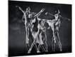 Premium Photographic Print
