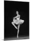 Premium Photographic Print