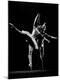 Premium Photographic Print