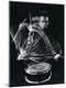 Premium Photographic Print