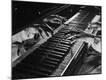 Premium Photographic Print