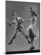 Premium Photographic Print