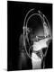 Premium Photographic Print
