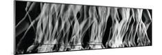 Premium Photographic Print