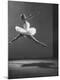 Premium Photographic Print